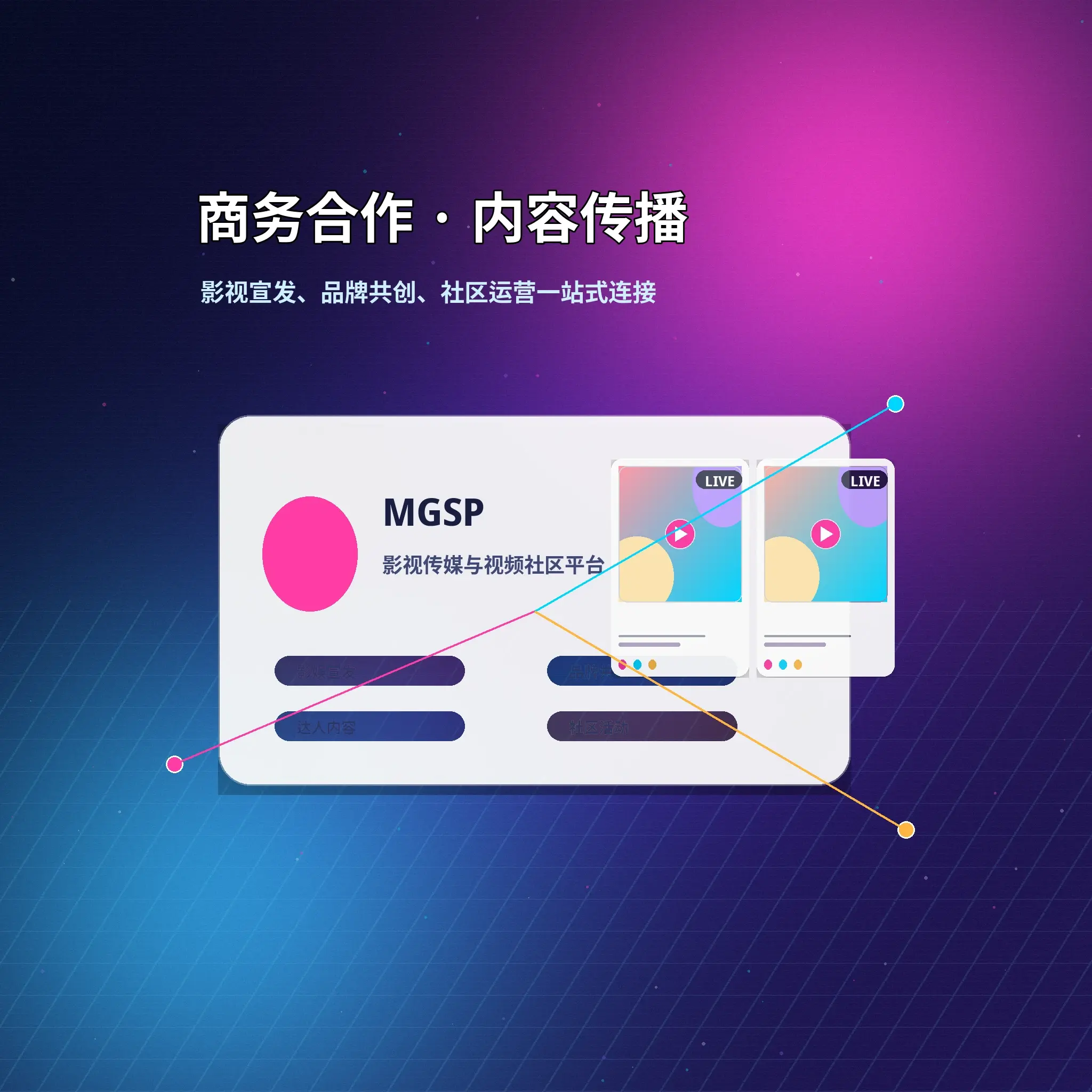 蘑菇视频联系与反馈服务